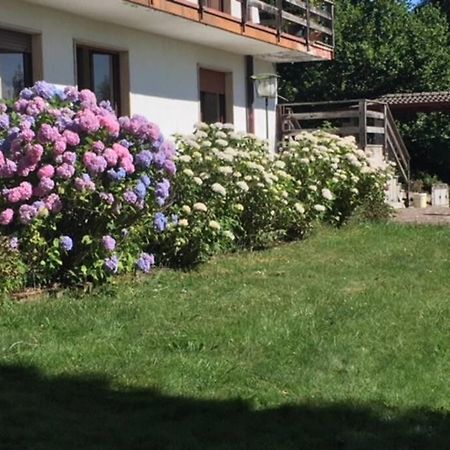 Villa Immersa Nel Verde A Lanzo dʼIntelvi エクステリア 写真