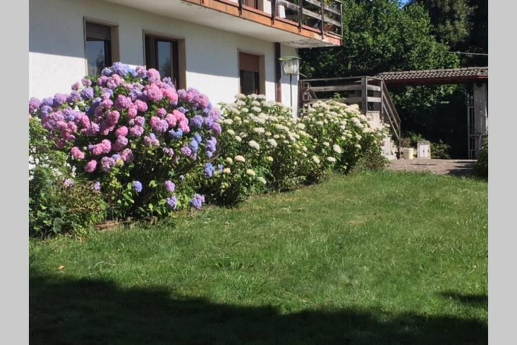 Villa Immersa Nel Verde A Lanzo dʼIntelvi エクステリア 写真