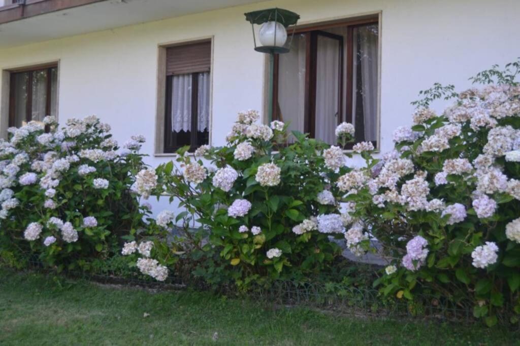 Villa Immersa Nel Verde A Lanzo dʼIntelvi エクステリア 写真